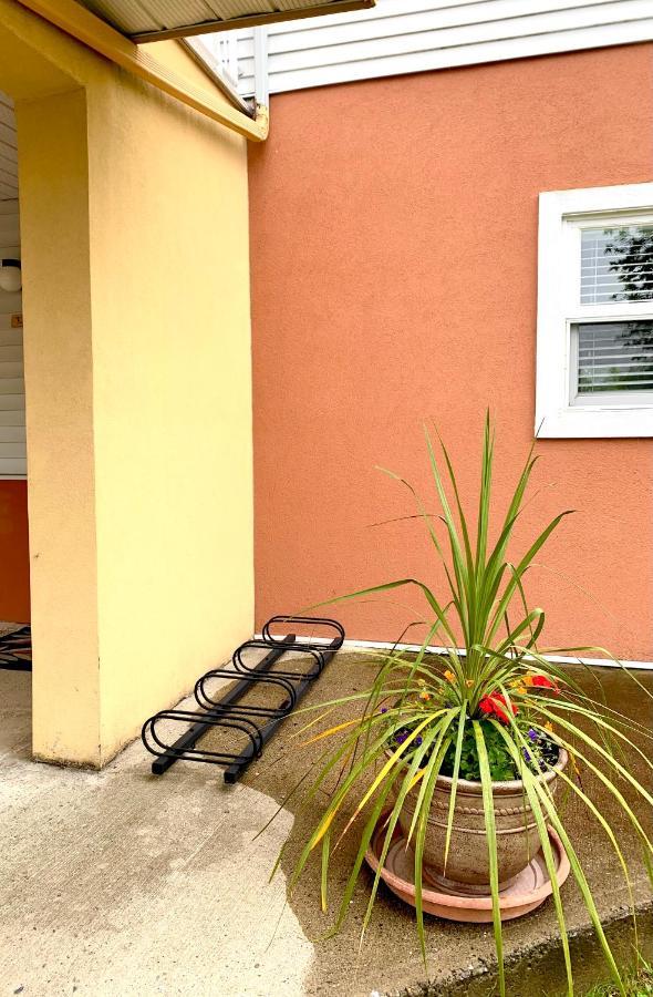 Le Pareo De Magog-Mont Orford Apartment Екстериор снимка